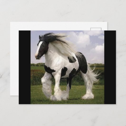 Briefkaart van verf (Voorkant / Achterkant)