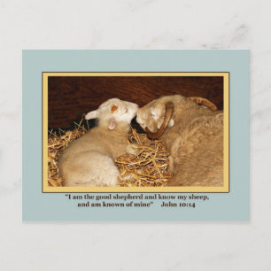 BRIEFKAART VAN VERLIEZEN EN VREDE