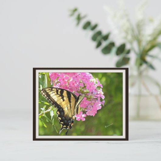 Briefkaart van vlinder (Staand voorkant)