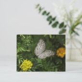 Briefkaart van vlinder (Staand voorkant)