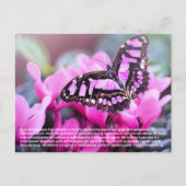 Briefkaart van vlinder (Voorkant)