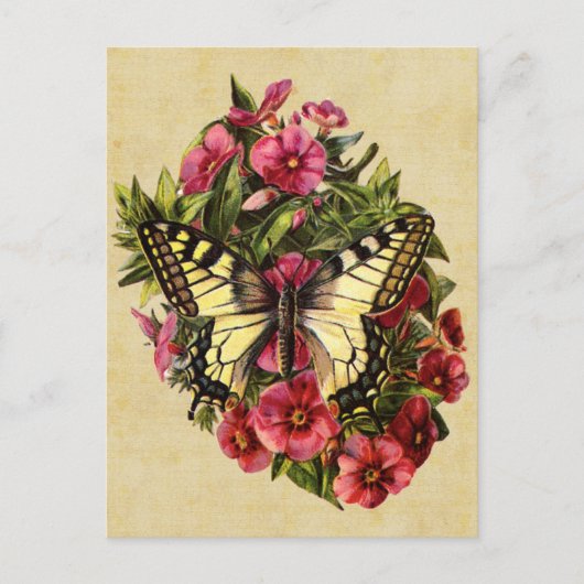  Briefkaart van vlinder (Voorkant)