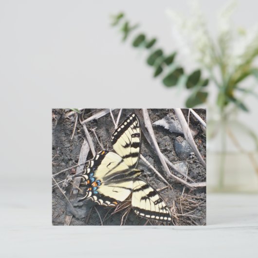 Briefkaart van vlinder (Staand voorkant)