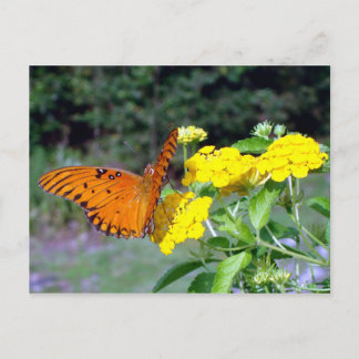 Briefkaart van vlinder