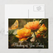 Briefkaart van vlinder en bloemen (Voorkant / Achterkant)