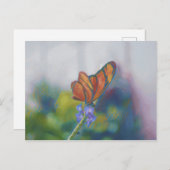 Briefkaart van vlindervleugels (Voorkant / Achterkant)