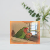 Briefkaart van vogels (Staand voorkant)