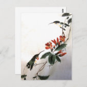 Briefkaart van vogels (Voorkant / Achterkant)