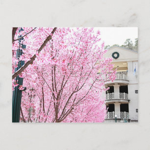 Briefkaart van warmspruiters