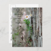 Briefkaart van wilde bloemen (Voorkant / Achterkant)