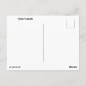 Briefkaart van wilde bloemen (Achterkant)