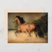 briefkaart van wilde paarden (Voorkant / Achterkant)