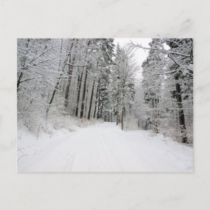 briefkaart van Winterland