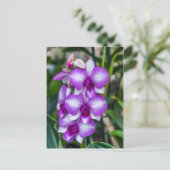 Briefkaart van witte en paarse orchideeën (Staand voorkant)