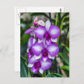 Briefkaart van witte en paarse orchideeën (Voorkant / Achterkant)