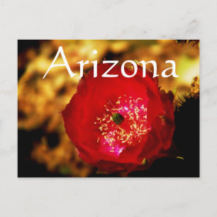 briefkaart van woestijnbloei, Arizona