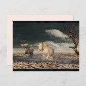 briefkaart van woestijnpaarden (Voorkant / Achterkant)