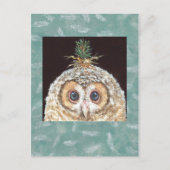Briefkaart van zaan (owlet w jack pine) (Voorkant)