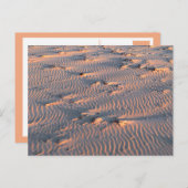 briefkaart van zandrimpels (Voorkant / Achterkant)