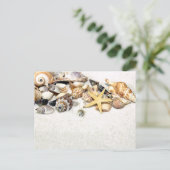 Briefkaart van zeeschelpen (Staand voorkant)