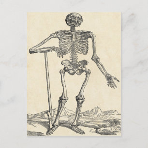 Briefkaart van zijn eigen grave