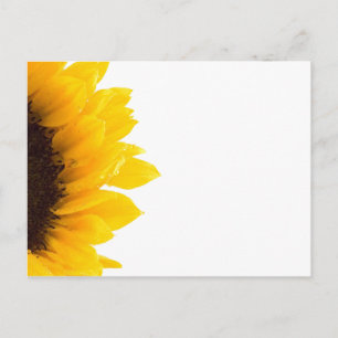 briefkaart van zonnebloem door Petr Kratochvil