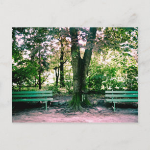 Briefkaart versoepelen