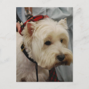 Briefkaart verticale Sjabloon - Gepersonaliseerd