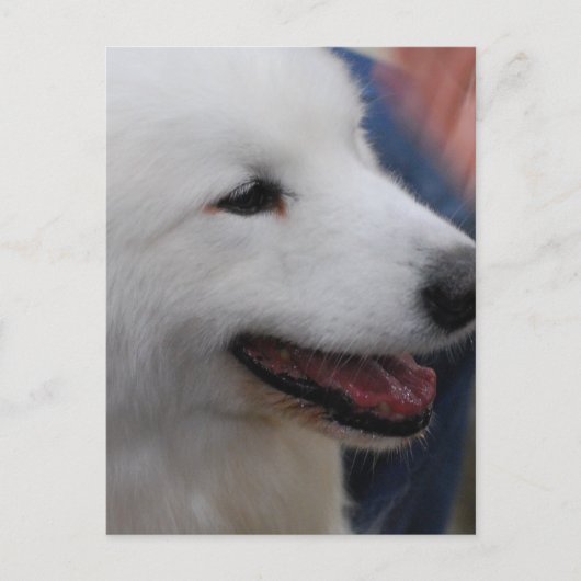 Briefkaart verticale Sjabloon - Gepersonaliseerd (Voorkant)