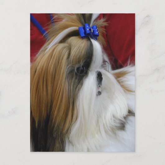 Briefkaart verticale Sjabloon - Gepersonaliseerd (Voorkant)