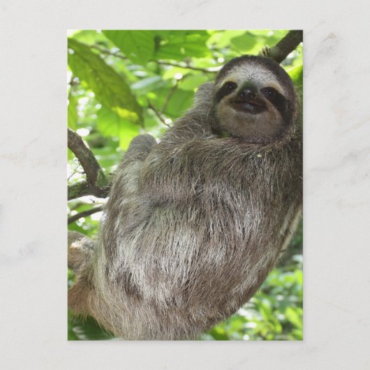 Briefkaart verticale Sjabloon - Gepersonaliseerd (Voorkant)