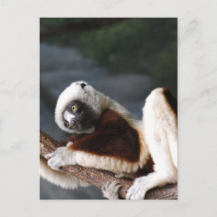 Briefkaart verticale Sjabloon - Gepersonaliseerd