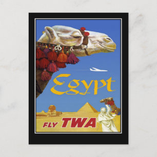 Briefkaart Vintage Travel Egypt Camel