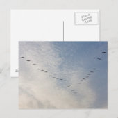 Briefkaart vliegende vogels (Voorkant / Achterkant)