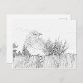 Briefkaart - Vogel op hek naar kleur (Voorkant / Achterkant)