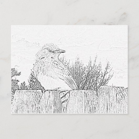 Briefkaart - Vogel op hek naar kleur (Voorkant)