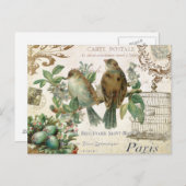  briefkaart vogelstand (Voorkant / Achterkant)