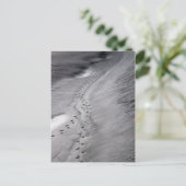 briefkaart volgen (Staand voorkant)