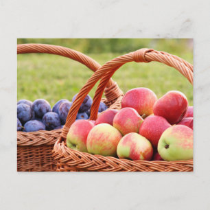 Briefkaart voor appelen en stekken