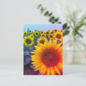 Briefkaart voor de foto van Bright Yellow Sunflowe (Staand voorkant)