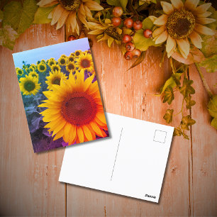 Briefkaart voor de foto van Bright Yellow Sunflowe