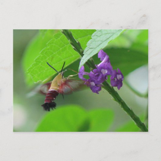 Briefkaart voor de klapmethode (Voorkant)