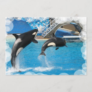 Briefkaart voor de walvisuitnodiging