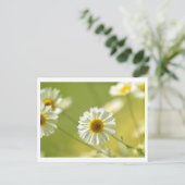 Briefkaart voor de zomertijd (Staand voorkant)