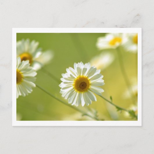 Briefkaart voor de zomertijd (Voorkant)