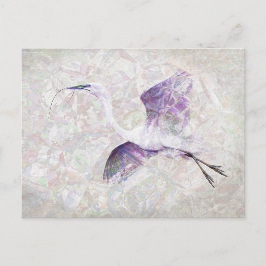 Briefkaart voor geweldige digitale etalage kunst (Voorkant)