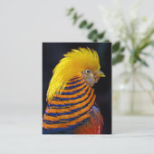 Briefkaart voor goudkoorts (Staand voorkant)