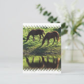 Briefkaart voor graaspaarden (Staand voorkant)