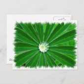 Briefkaart voor groene energie (Voorkant / Achterkant)