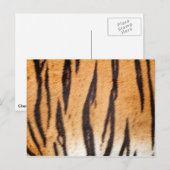 Briefkaart voor grotere afdrukken (Voorkant / Achterkant)